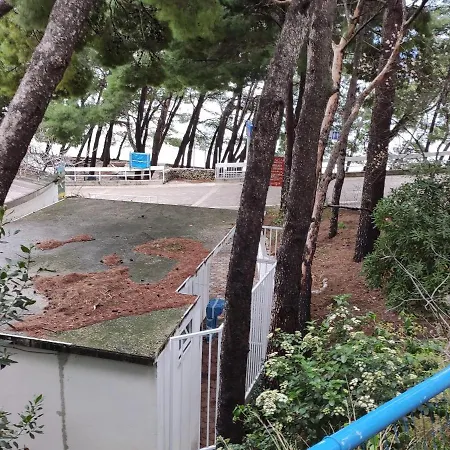 Ivo * Makarska