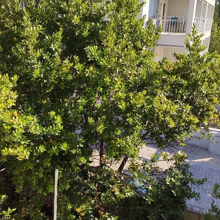 Ivo Apartmán